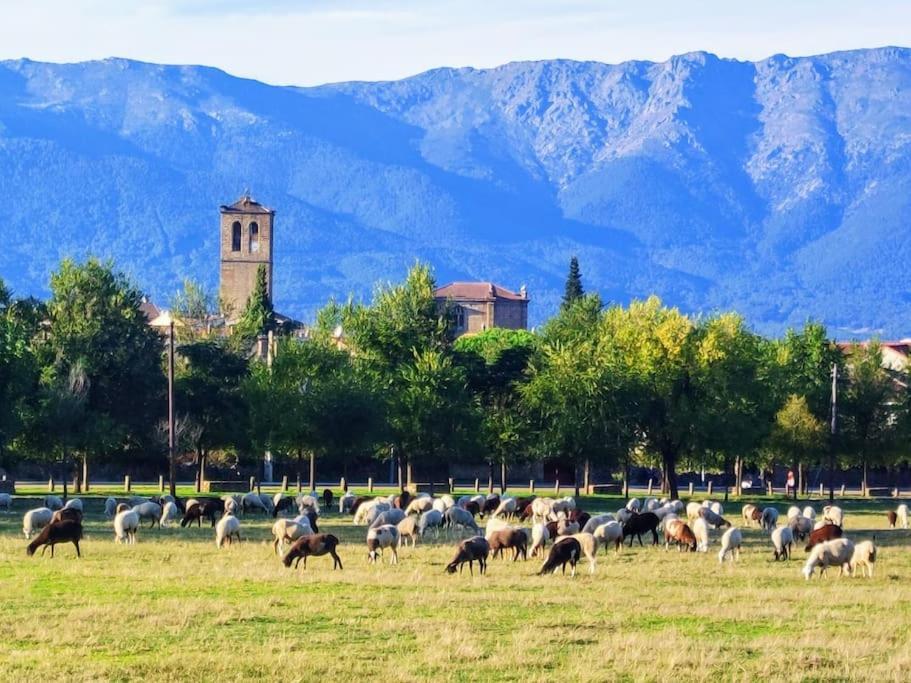 El Escondite De Molina. Valle Del Tietar. Ла-Иглесуэла Экстерьер фото